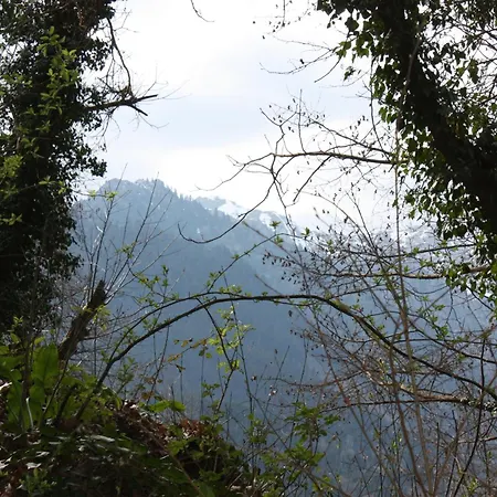 Grand Village Boutique Hotel 3*